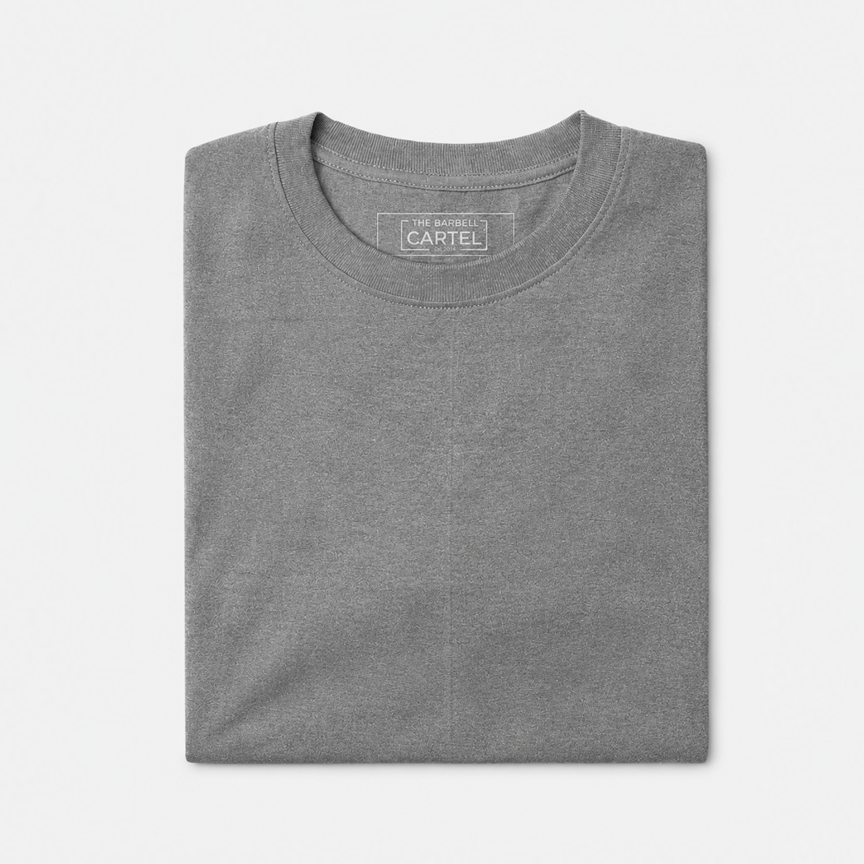 Foundation T-Shirt – Heather Grey