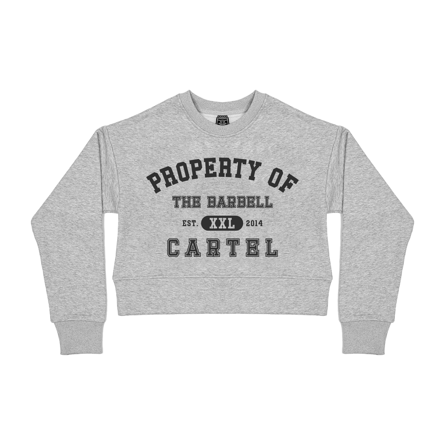 Women's Campus Crew Neck Sweater - Heather Grey