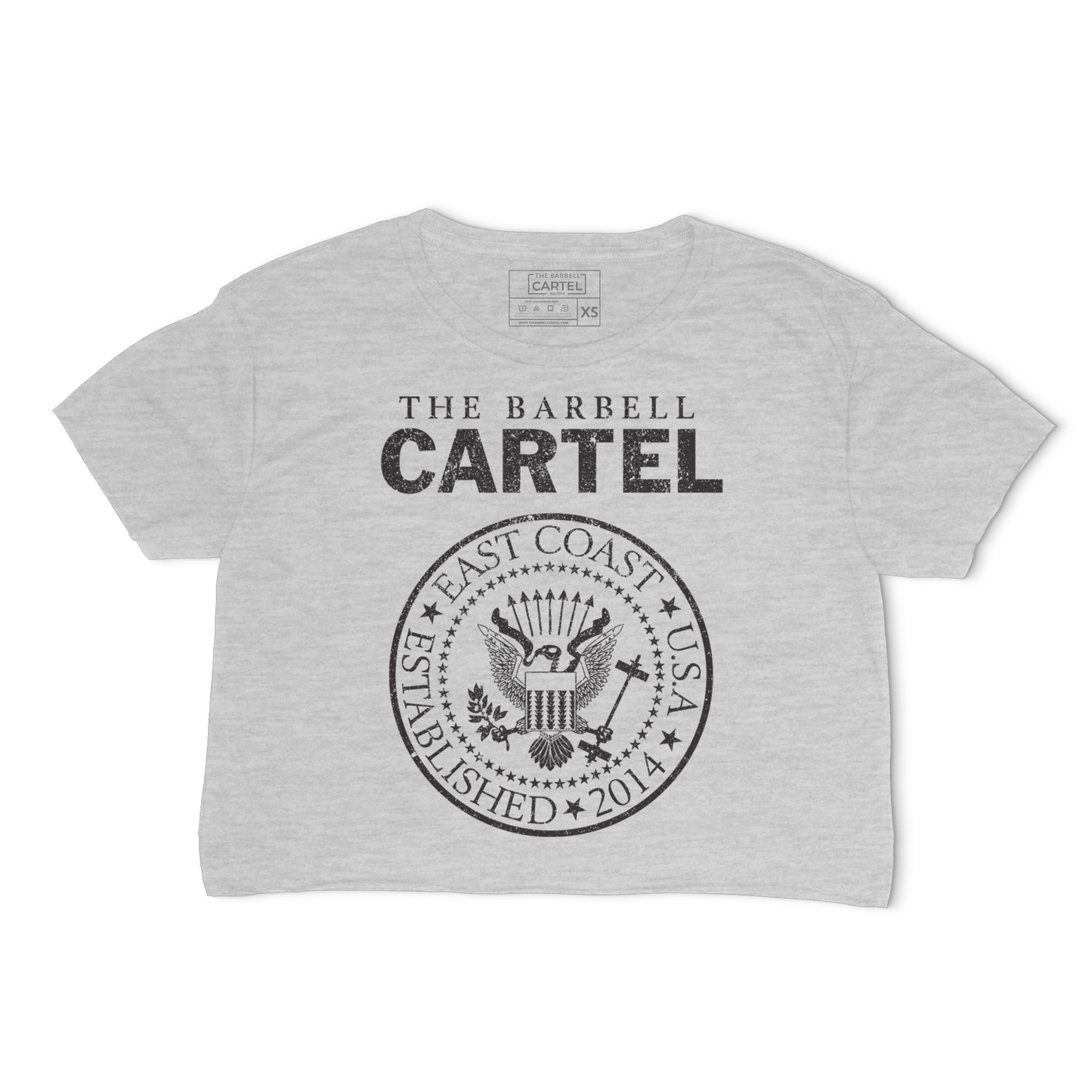 Punks Crop T-Shirt - Heather Gray