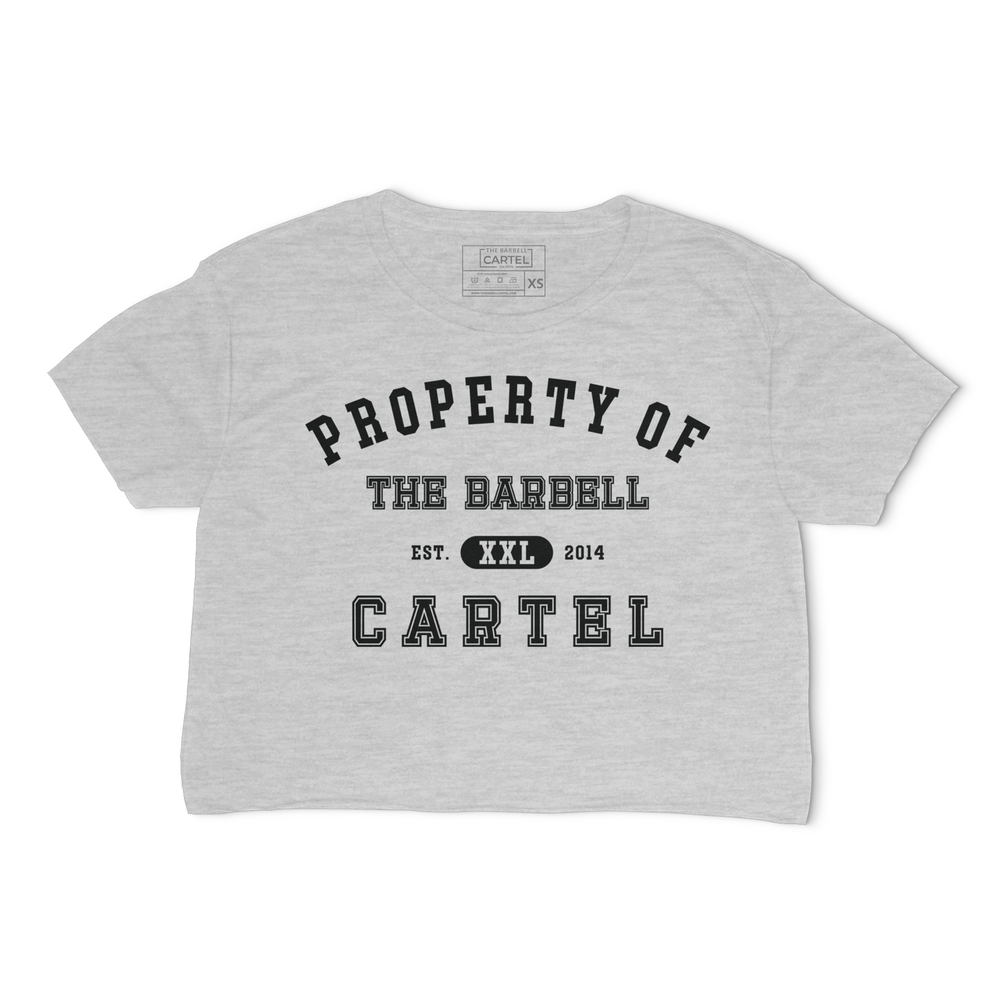 Varsity Crop T-Shirt - Heather Gray
