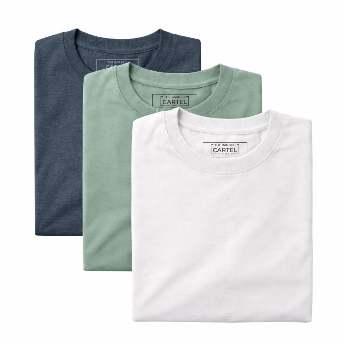 Foundation T-Shirt - 3 Pack (Spring Edition)