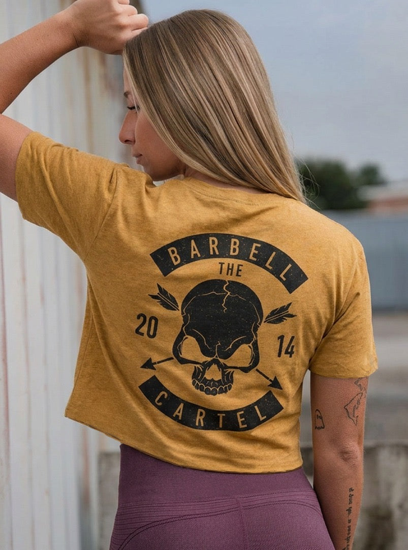 Skull & Arrow Crop T-Shirt - Antique gold
