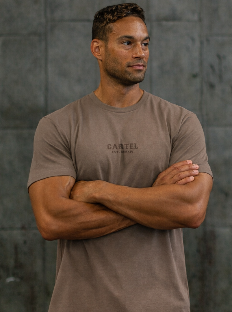 Fly or Die T-Shirt - Faded Clay